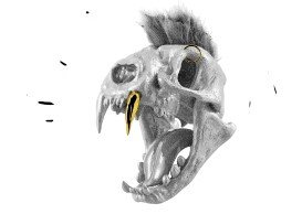 Zoo Mad Labs