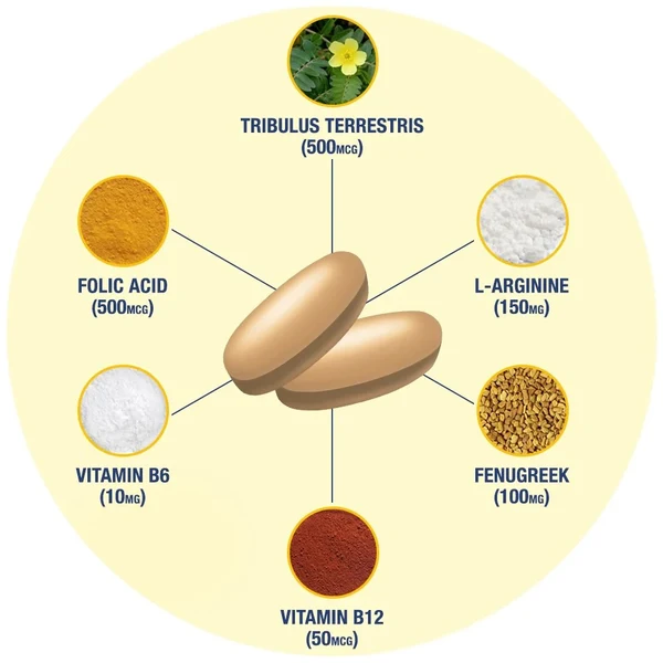 GAT Sports - Testrol Gold ES - Image 6