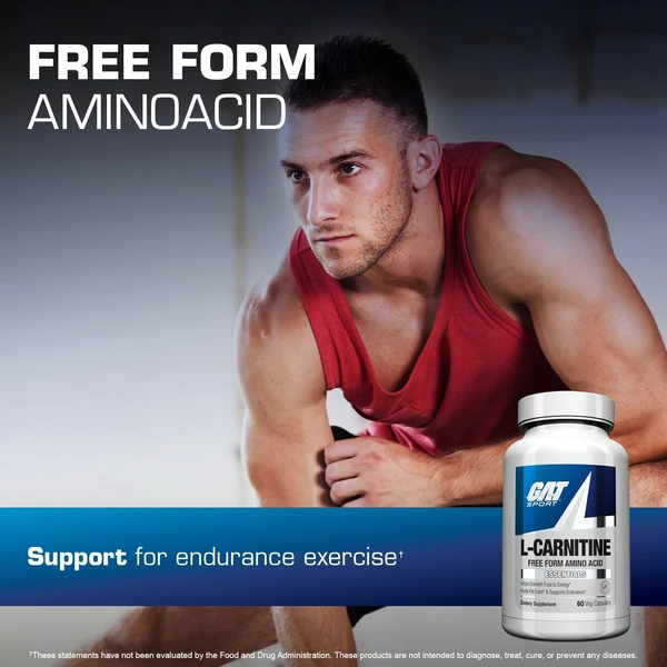 GAT Sport - L-CARNITINE - Image 4