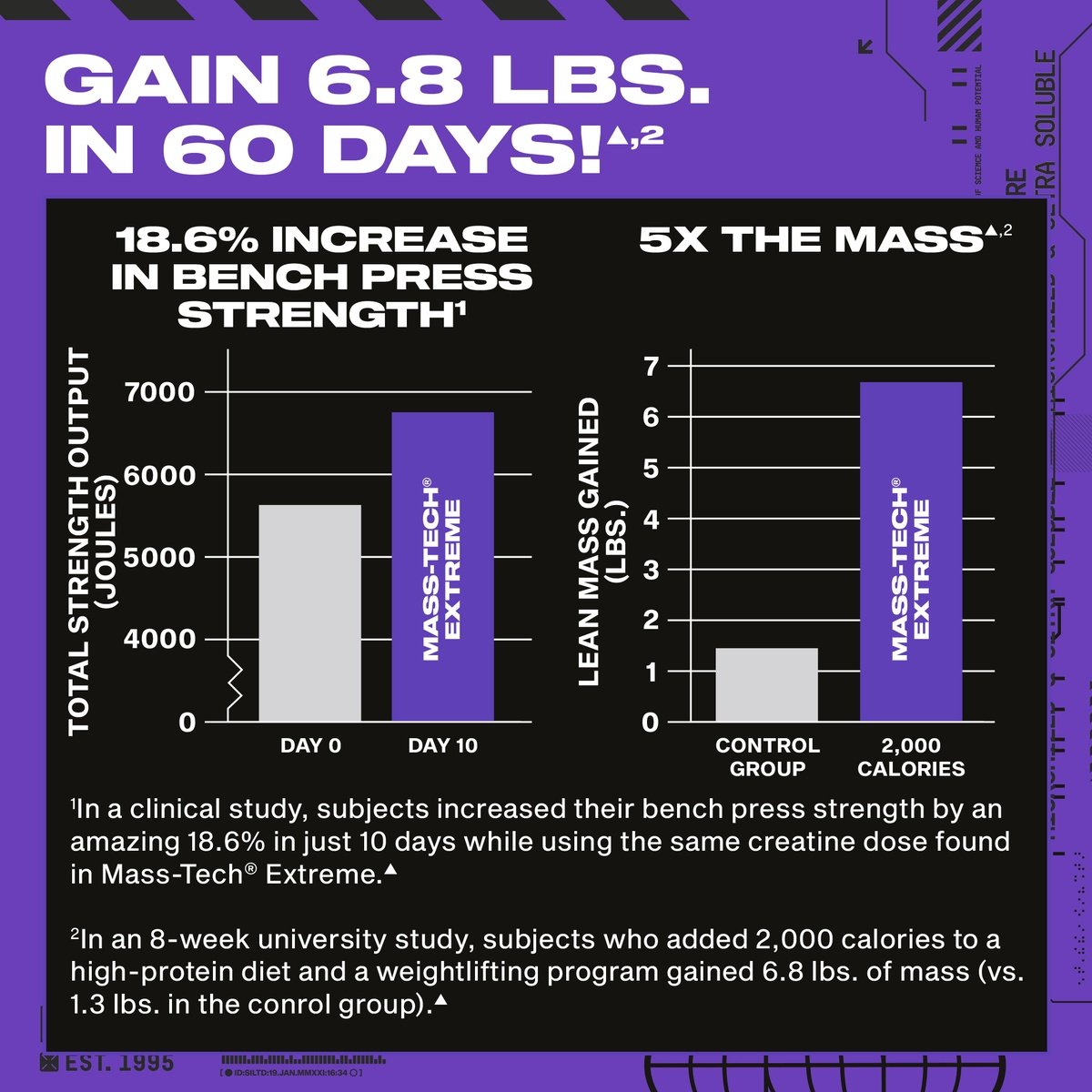 Muscle Tech - Mass Tech Extreme - Image 4